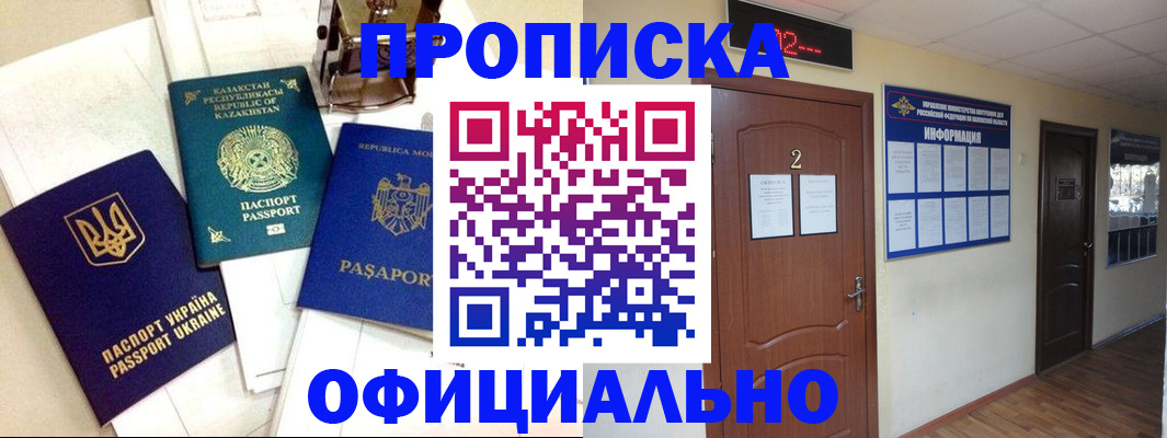 временная регистрация надежно в Волосово