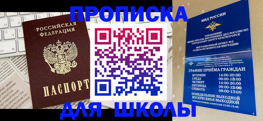 прописка законно в Волосово